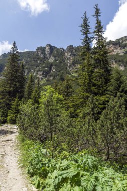 Malyovitsa zirvesi, Rila Dağı, Bulgaristan 'ın yürüyüş parkurundan manzara