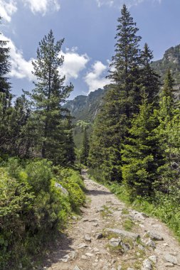 Malyovitsa zirvesi, Rila Dağı, Bulgaristan 'ın yürüyüş parkurundan manzara