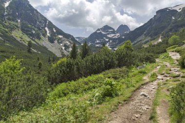 Bulgaristan 'ın Rila Dağı, Malyovitsa zirvesinin şaşırtıcı yaz manzarası