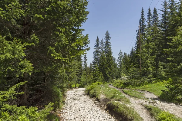 Paisaje Del Sendero Para Pico Malyovitsa Montaña Rila Bulgaria — Foto de Stock