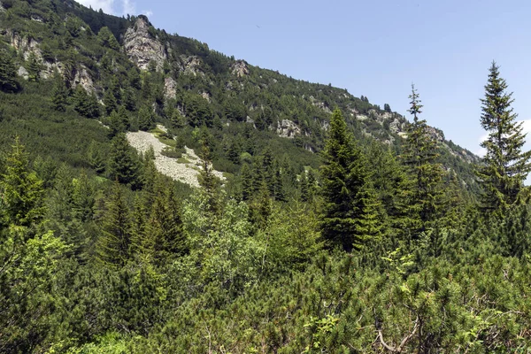 Пейзаж Пешеходной Тропы Малевица Гора Рила Болгария — стоковое фото