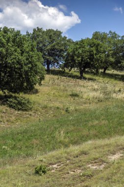 Muhteşem manzara Ograzhden dağ, bölge Yukarı Cuma, Bulgaristan