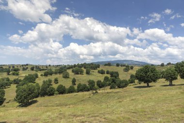 Muhteşem manzara Ograzhden dağ, bölge Yukarı Cuma, Bulgaristan