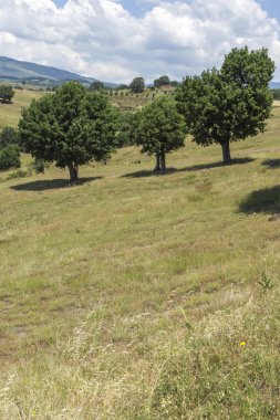 Muhteşem manzara Ograzhden dağ, bölge Yukarı Cuma, Bulgaristan