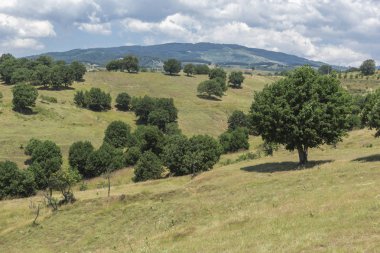 Muhteşem manzara Ograzhden dağ, bölge Yukarı Cuma, Bulgaristan