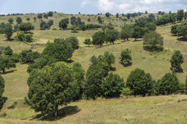 Muhteşem manzara Ograzhden dağ, bölge Yukarı Cuma, Bulgaristan