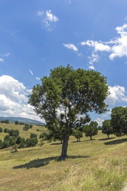 Muhteşem manzara Ograzhden dağ, bölge Yukarı Cuma, Bulgaristan
