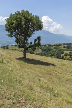 Muhteşem manzara Ograzhden dağ, bölge Yukarı Cuma, Bulgaristan
