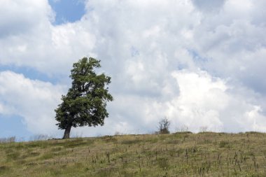 Muhteşem manzara Ograzhden dağ, bölge Yukarı Cuma, Bulgaristan