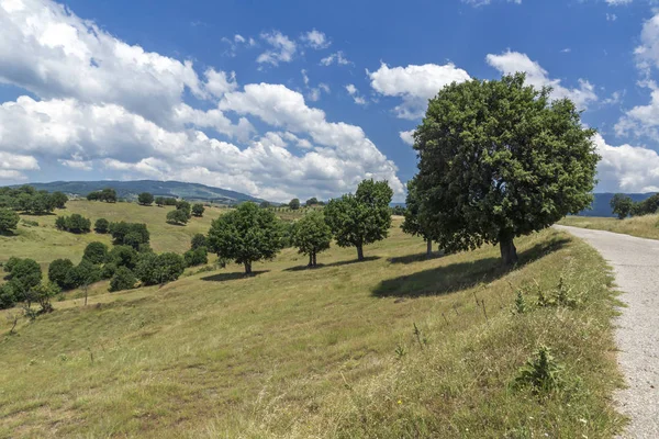 Verbazingwekkende Landschap Van Ograzhden Berg Regio Blagoevgrad Bulgarije — Stockfoto