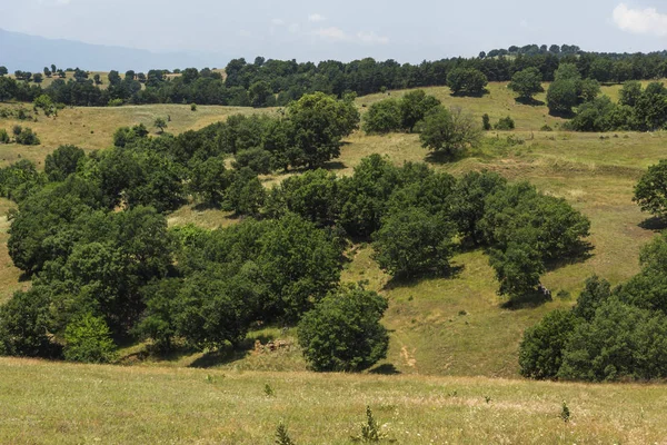 Verbazingwekkende Landschap Van Ograzhden Berg Regio Blagoevgrad Bulgarije — Stockfoto