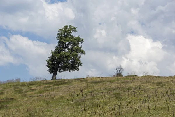 Fantastiska Landskap Ograzhden Mountain Regionen Blagoevgrad Bulgarien — Stockfoto