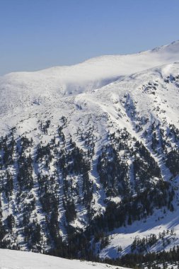Todorka tepe, Bulgaristan üzerinden Pirin Dağı Kış manzarası