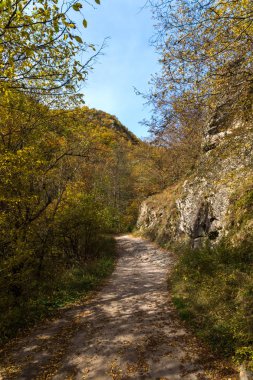 Sonbahar görünümü Devin Nehri ve Ecotrail Struilitsa geçit, bölge Smolyan, Bulgaristan