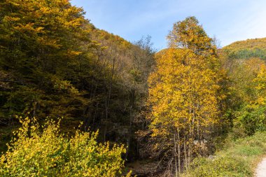 Sonbahar görünümü Devin Nehri ve Ecotrail Struilitsa geçit, bölge Smolyan, Bulgaristan