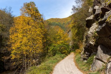 Sonbahar görünümü Devin Nehri ve Ecotrail Struilitsa geçit, bölge Smolyan, Bulgaristan