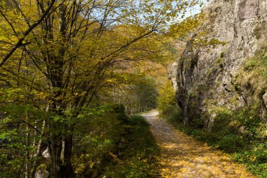 Sonbahar görünümü Devin Nehri ve Ecotrail Struilitsa geçit, bölge Smolyan, Bulgaristan