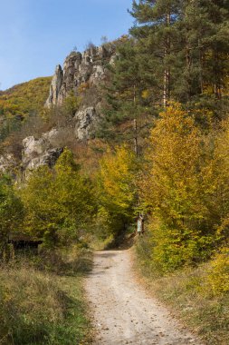 Sonbahar görünümü Devin Nehri ve Ecotrail Struilitsa geçit, bölge Smolyan, Bulgaristan