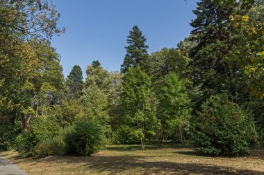 Sofia, Bulgaristan-17 Eylül 2017: Peyzaj Park Vrana - Sofya, Bulgaristan şehirde eski Kraliyet Sarayı çevresinde