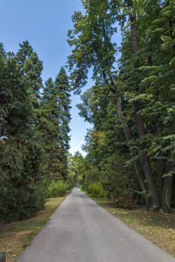Sofia, Bulgaristan-17 Eylül 2017: Peyzaj Park Vrana - Sofya, Bulgaristan şehirde eski Kraliyet Sarayı çevresinde