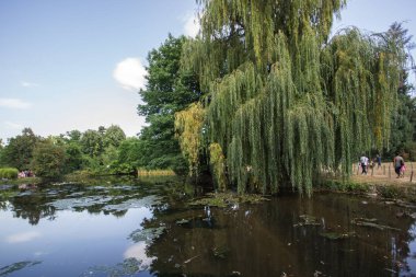Sofia, Bulgaristan-17 Eylül 2017: Peyzaj Park Vrana - Sofya, Bulgaristan şehirde eski Kraliyet Sarayı çevresinde
