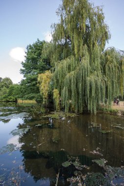 Sofia, Bulgaristan-17 Eylül 2017: Peyzaj Park Vrana - Sofya, Bulgaristan şehirde eski Kraliyet Sarayı çevresinde