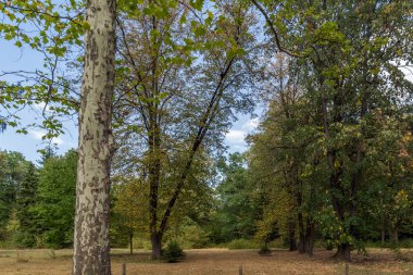 Sofia, Bulgaristan-17 Eylül 2017: Peyzaj Park Vrana - Sofya, Bulgaristan şehirde eski Kraliyet Sarayı çevresinde