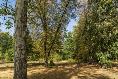 Sofia, Bulgaristan-17 Eylül 2017: Peyzaj Park Vrana - Sofya, Bulgaristan şehirde eski Kraliyet Sarayı çevresinde