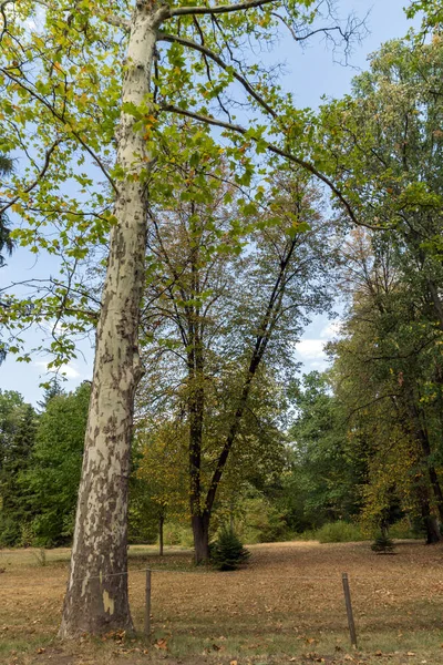 Sofie Bulharsko Září 2017 Krajina Parku Vrana Kolem Bývalého Královského — Stock fotografie