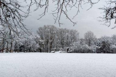 Ağaçlar Bulgaristan Sofya şehir South Park'taki kış görünümü kar ile kaplı