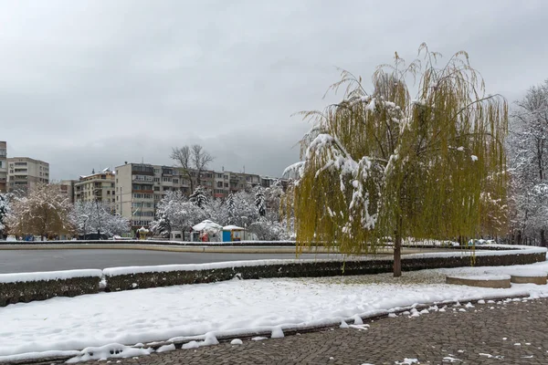 Winterblick Mit Schneebedeckten Bäumen Südpark Der Stadt Sofia Bulgarien — Stockfoto