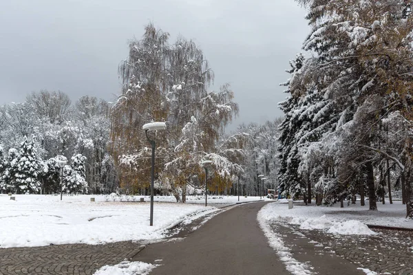 Vista Invierno Con Árboles Cubiertos Nieve South Park Ciudad Sofía —  Fotos de Stock