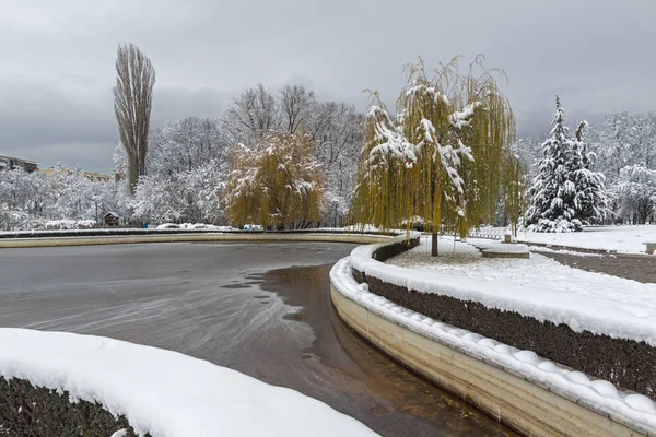 Vista Invierno Con Árboles Cubiertos Nieve South Park Ciudad Sofía —  Fotos de Stock