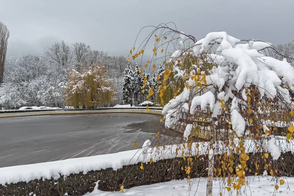 Vista Invierno Con Árboles Cubiertos Nieve South Park Ciudad Sofía —  Fotos de Stock