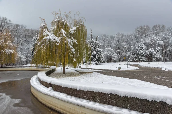 Vista Invierno Con Árboles Cubiertos Nieve South Park Ciudad Sofía —  Fotos de Stock