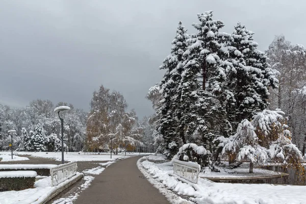 Vista Invierno Con Árboles Cubiertos Nieve South Park Ciudad Sofía —  Fotos de Stock