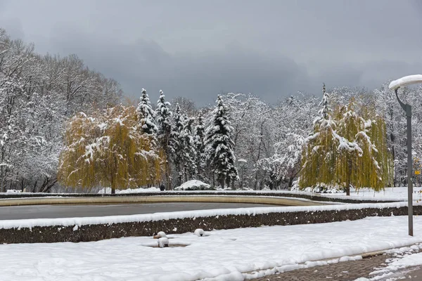 Vista Invierno Con Árboles Cubiertos Nieve South Park Ciudad Sofía —  Fotos de Stock