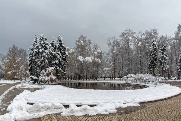 Vista Inverno Com Árvores Cobertas Neve South Park Cidade Sofia — Fotografia de Stock