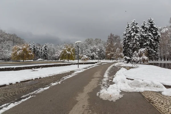 Zimowy Widok Śniegu Objętych Drzewa South Park Mieście Sofia Bułgaria — Zdjęcie stockowe