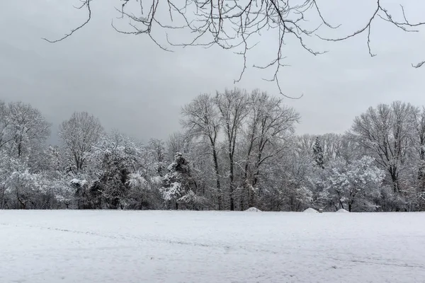 Winters Aanblik Met Sneeuw Bedekt Bomen South Park Stad Van — Stockfoto