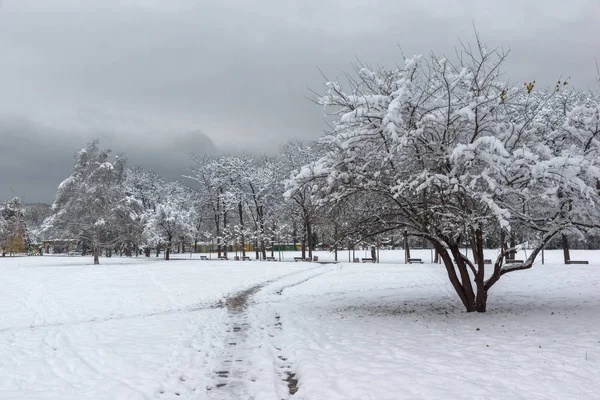 Vista Invierno Con Árboles Cubiertos Nieve South Park Ciudad Sofía —  Fotos de Stock
