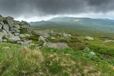 Cherni Vrah tepe, Sofya şehir bölge, Bulgaristan üzerinden Vitosha Dağı manzarası