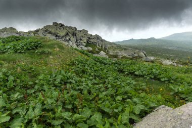 Cherni Vrah tepe, Sofya şehir bölge, Bulgaristan üzerinden Vitosha Dağı manzarası