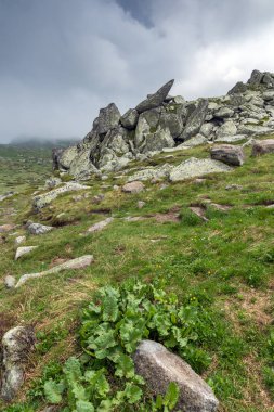 Cherni Vrah tepe, Sofya şehir bölge, Bulgaristan üzerinden Vitosha Dağı manzarası