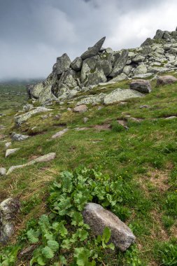 Cherni Vrah tepe, Sofya şehir bölge, Bulgaristan üzerinden Vitosha Dağı manzarası