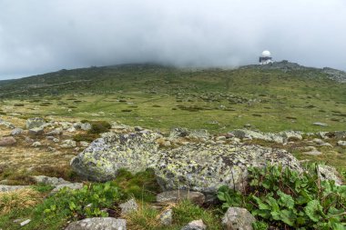 Cherni Vrah tepe, Sofya şehir bölge, Bulgaristan üzerinden Vitosha Dağı manzarası