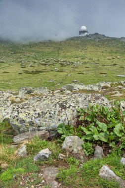 Cherni Vrah tepe, Sofya şehir bölge, Bulgaristan üzerinden Vitosha Dağı manzarası