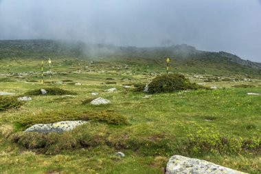 Cherni Vrah tepe, Sofya şehir bölge, Bulgaristan üzerinden Vitosha Dağı manzarası