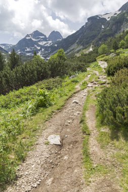 Bulgaristan 'ın Rila Dağı, Malyovitsa zirvesinin şaşırtıcı yaz manzarası
