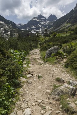 Bulgaristan 'ın Rila Dağı, Malyovitsa zirvesinin şaşırtıcı yaz manzarası
